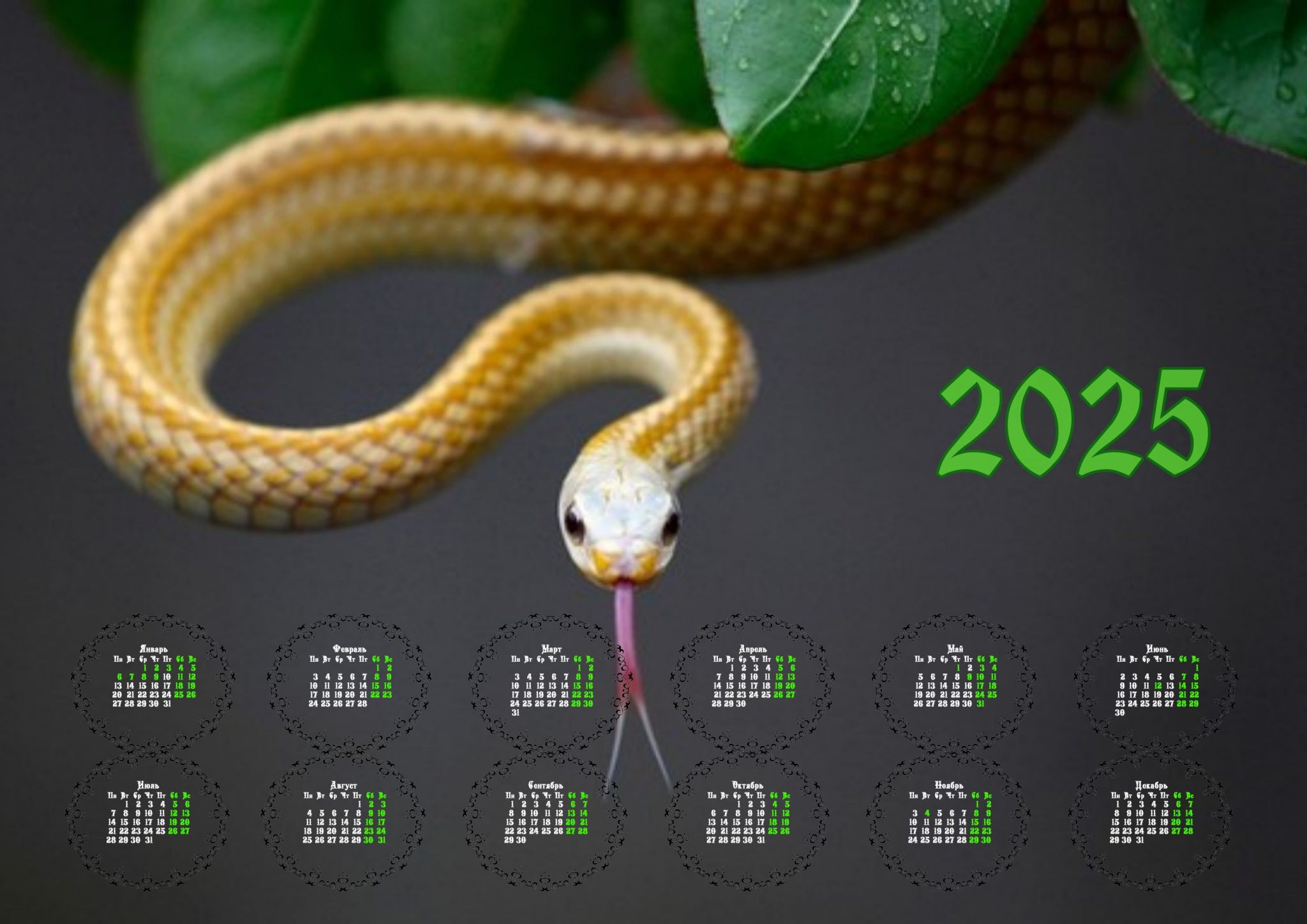 Календари с символом 2025 года - Змеёй
