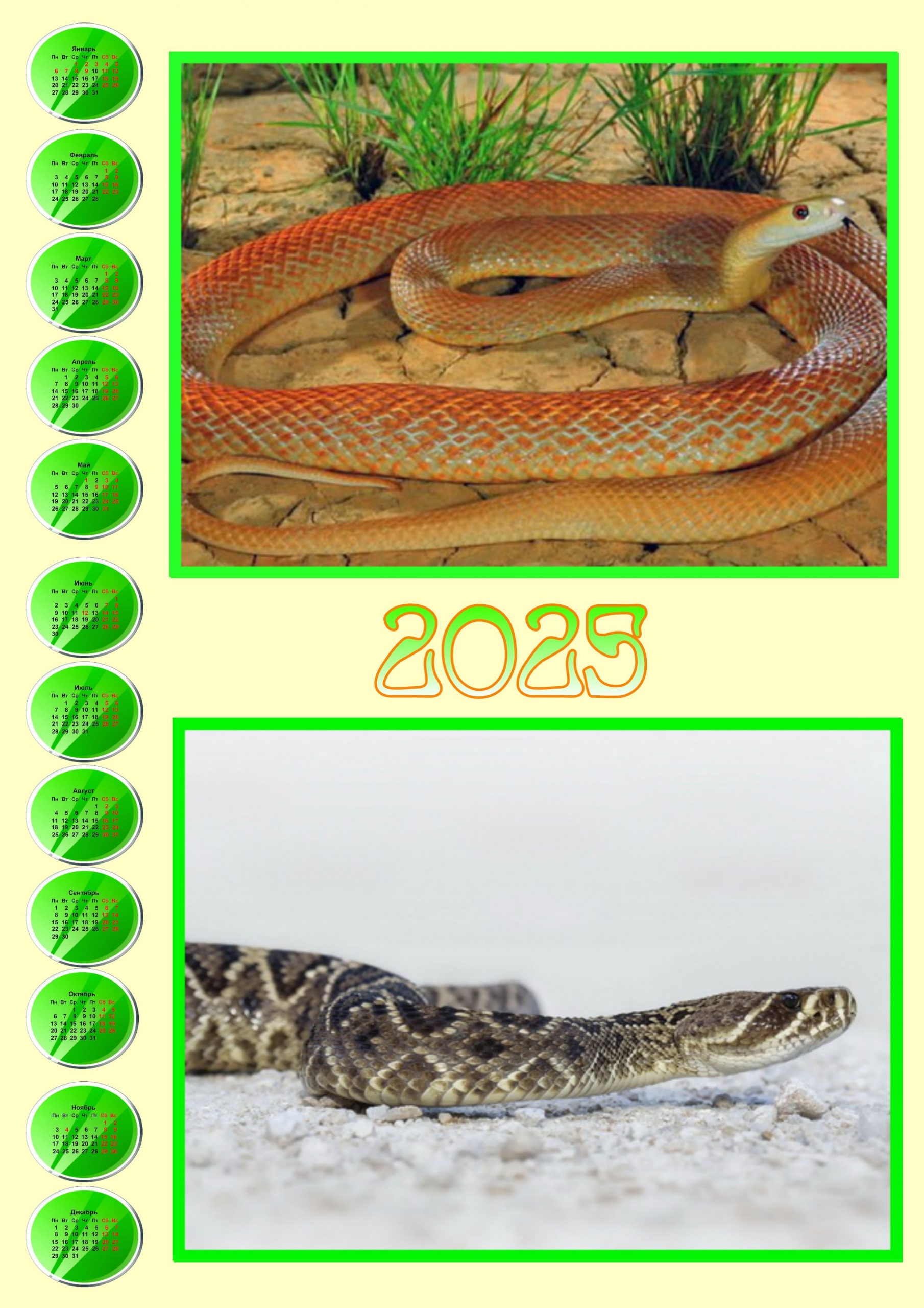Календари с символом 2025 года - Змеёй