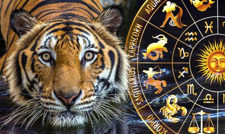 Гороскоп для Тигра на 2025 год Змеи