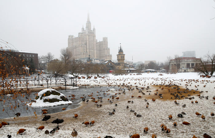 Какая будет зима 2024-2025 в России