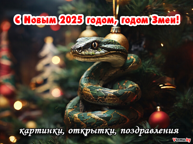 Фоны на Новый год Змеи 2025 для открыток