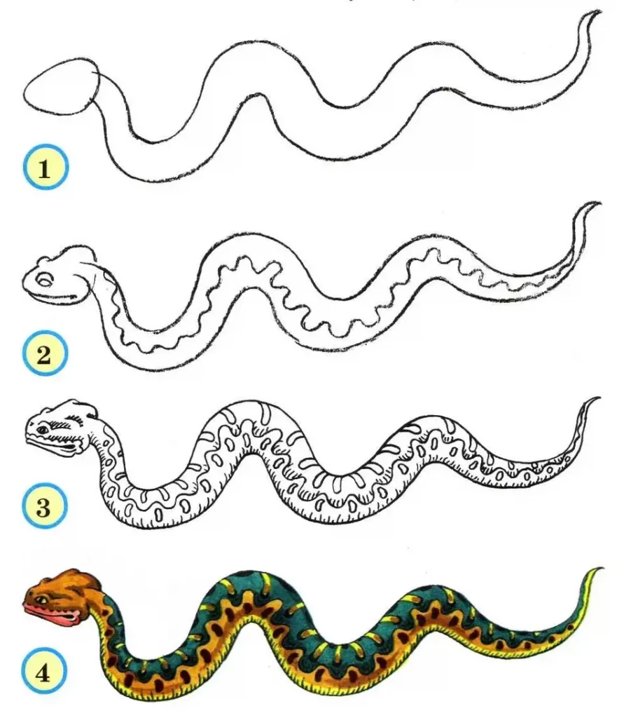 Как нарисовать Змею на Новый год 2025