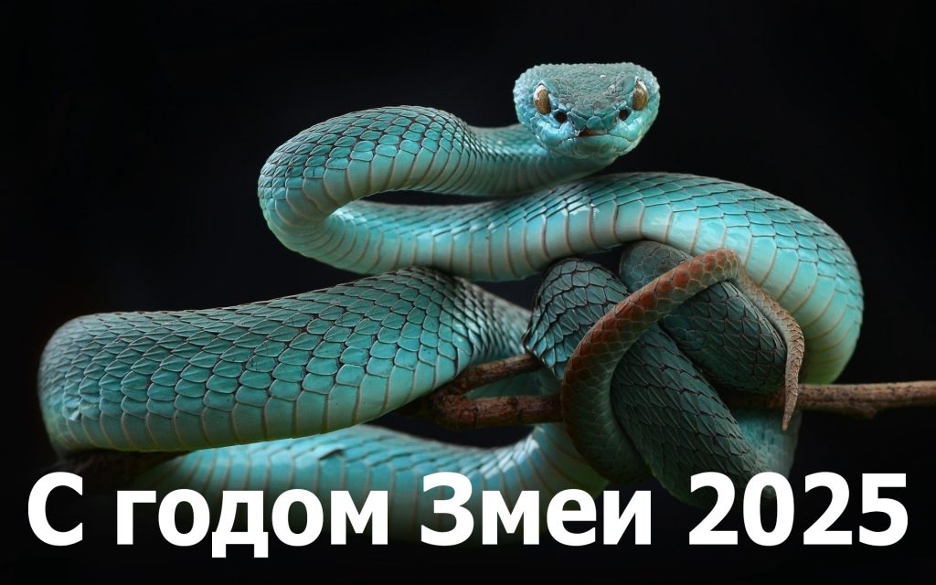 Новогодние надписи с символом 2025 года - Змеёй